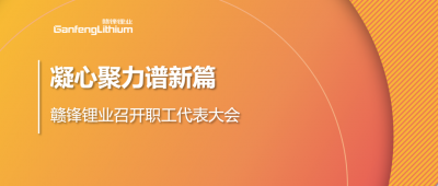 凝心聚力谱新篇 尊龙凯时人生就是搏锂业第五届职工代表大会顺遂召开