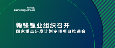 尊龙凯时人生就是搏锂业组织召开国家重点研发妄想专项项目锂工业集聚区循环化升级集成手艺及树模推进会